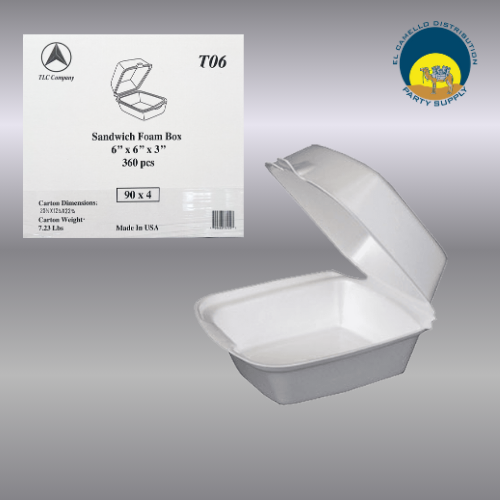 6x6 Foam Hinged Container